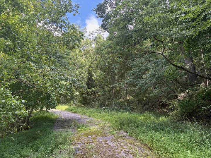 Tbd Virginia Avenue  Newport VA 24128 photo
