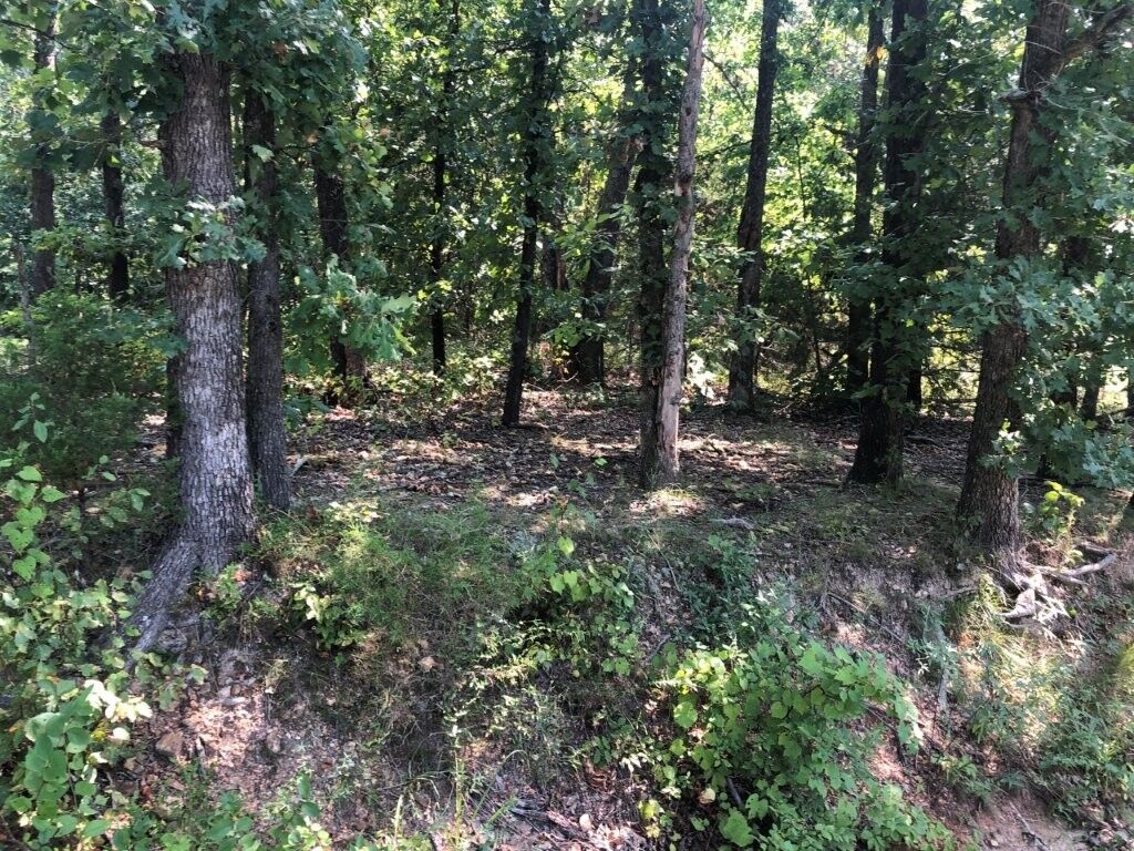 Property Photo:  Lot 32 Belgravia Drive  AR 72715 