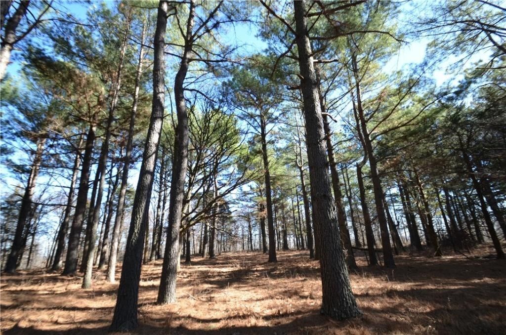 Property Photo: Jeter AR 72701