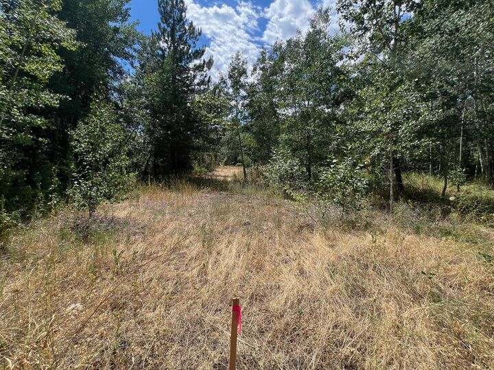 Property Photo: 117 Aspen Grove Lane ID 83340