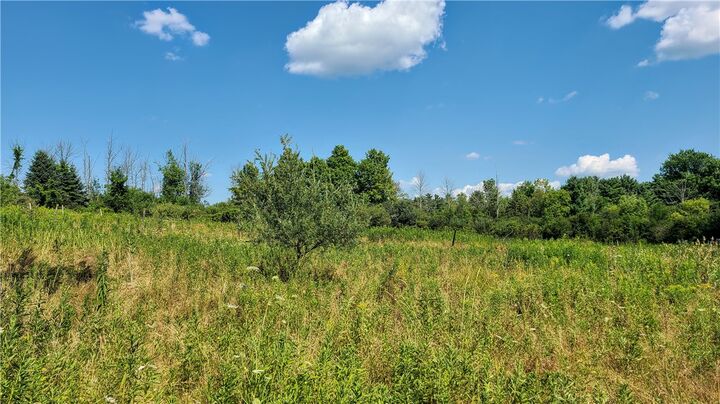 Property Photo: Lot 2 Scofield Road NY 13073