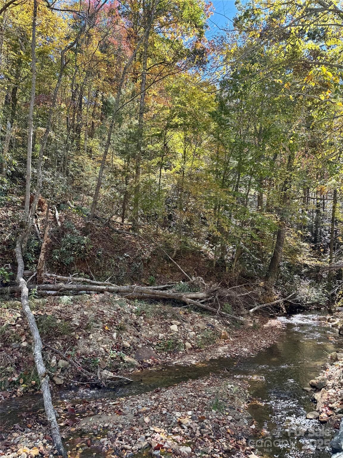 Property Photo:  00 Low Gap Road  NC 28792 
