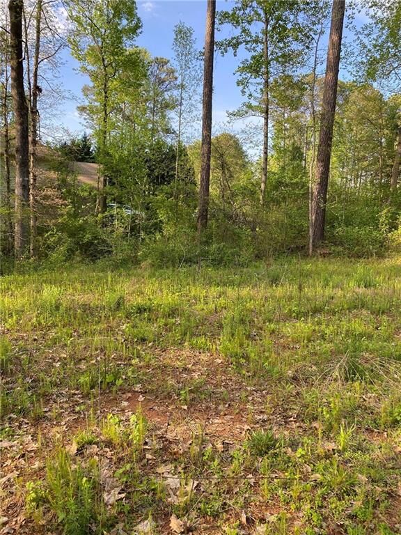 Property Photo: 3145 Spain Road GA 30039