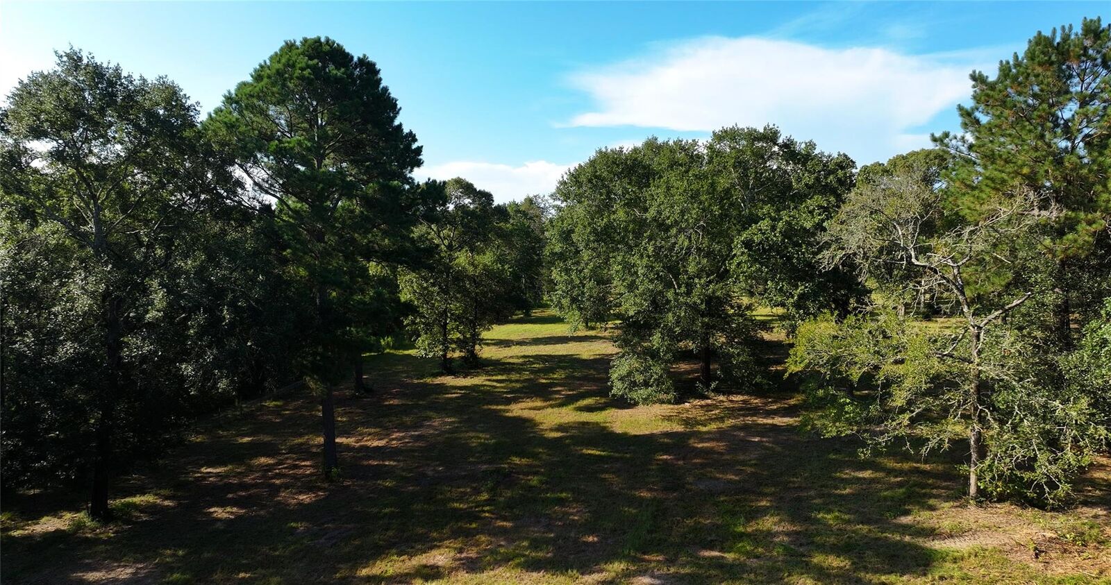 Property Photo: 31322-1 Strathmore Road TX 77484