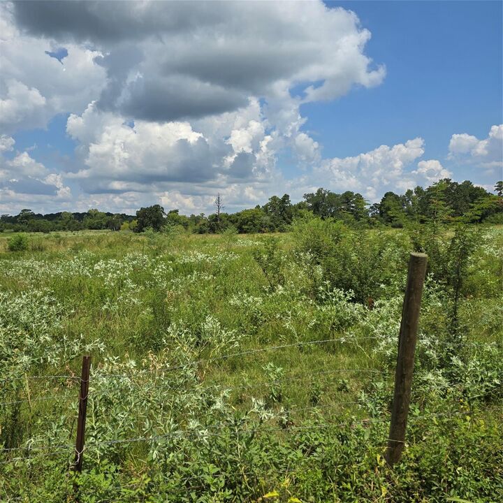 Property Photo:  Tbd Tract 2 Padgett Rd  TX 77331 