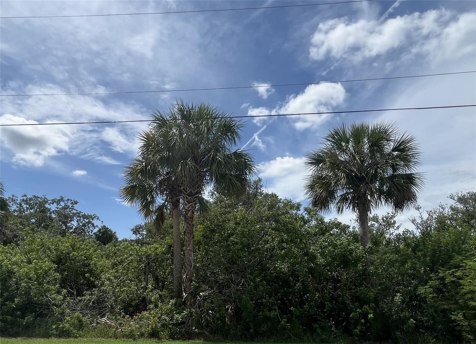 Property Photo: Betty Street FL 34668