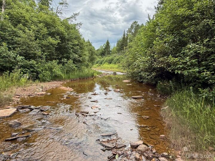 Property Photo:  Lot 13 Highway M-64 Highway  MI 49953 