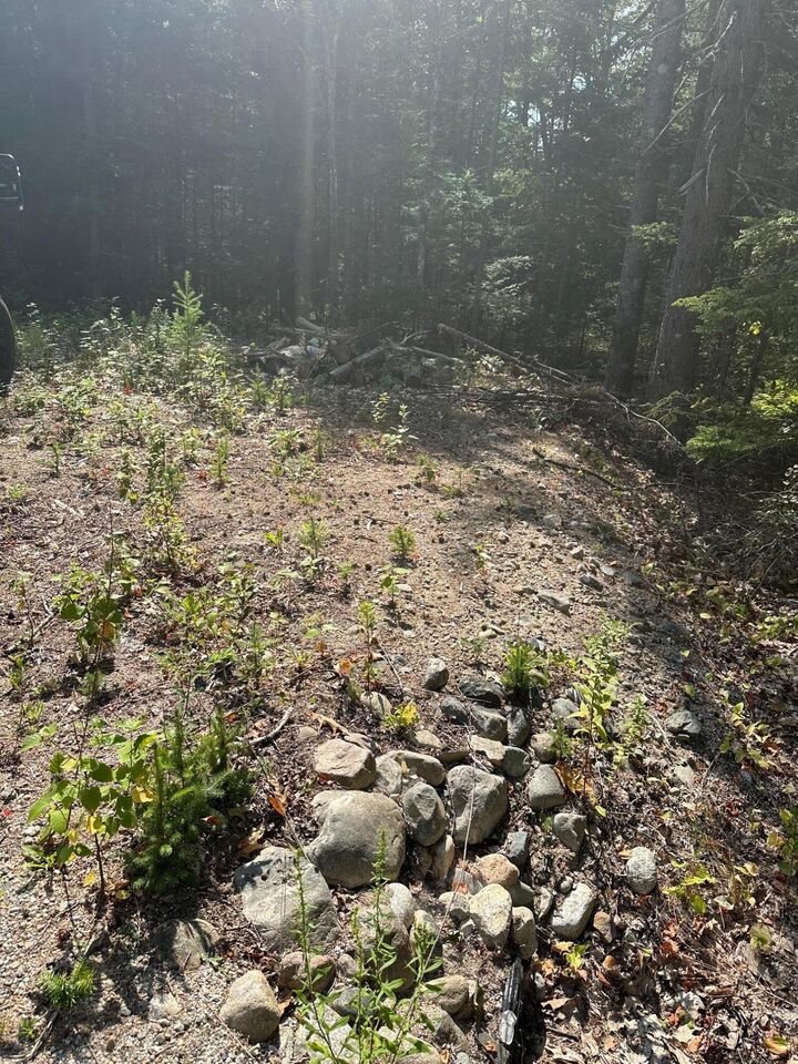 Property Photo:  0 Route 1- 0 Gouldsboro Point Road  ME 04607 