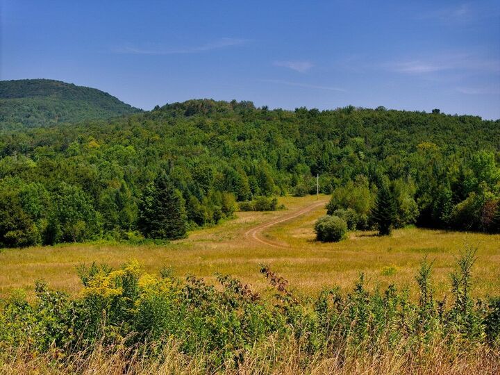 Property Photo: 3298 East Hill Road VT 05653
