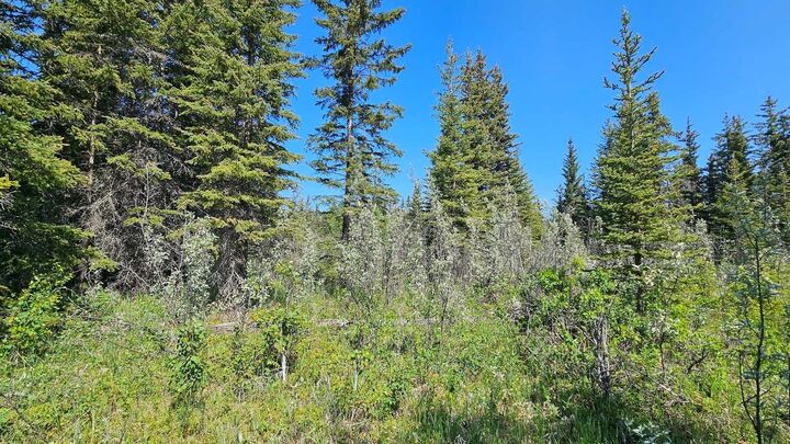 Property Photo: 34364 Range Road 42 11 AB T0M 1X0
