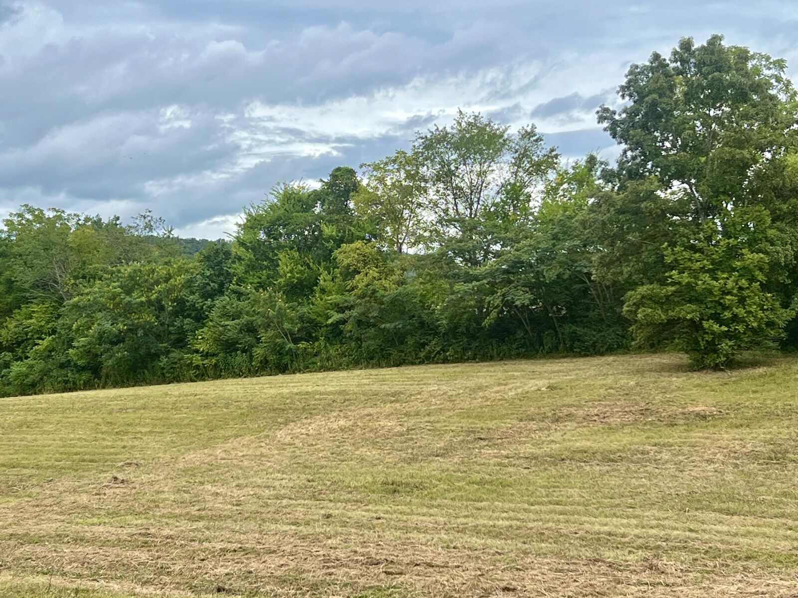 Property Photo:  262 County Road 849  TN 37331 