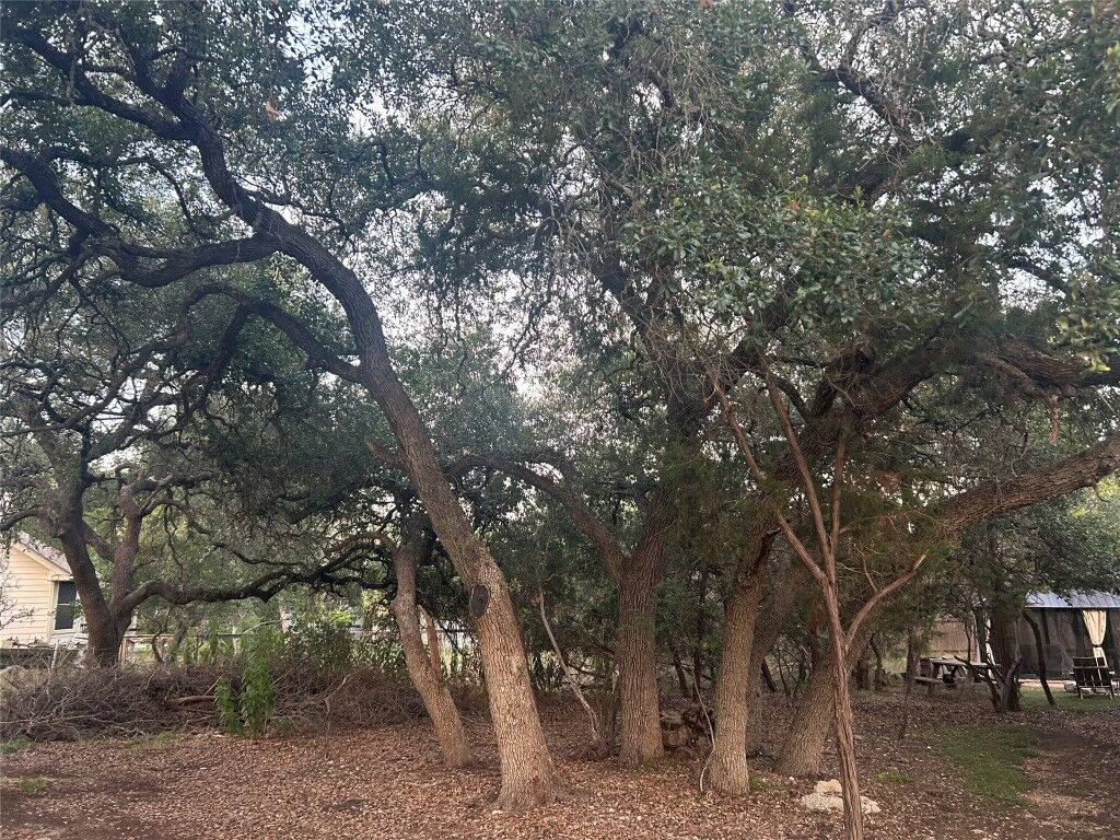 Property Photo:  3 Wishing Well Lane  TX 78676 