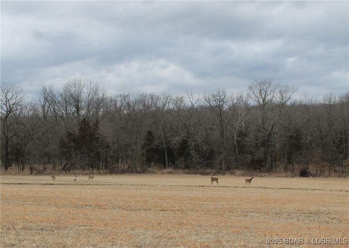 Property Photo:  Kip Drive 1632  MO 65326 