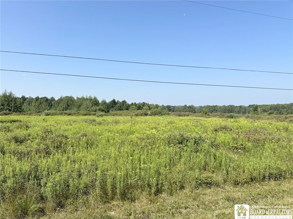 Property Photo: Pine Ridge - Vl Road NY 14701