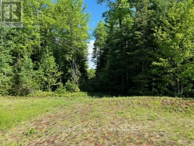 Lot 27 Bancroft Ridge Drive  Bancroft (Bancroft Ward) ON K0L 1C0 photo