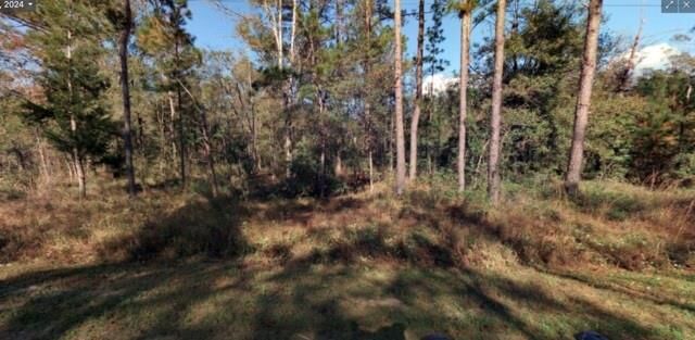 Property Photo:  4740 Calvin  FL 32145 