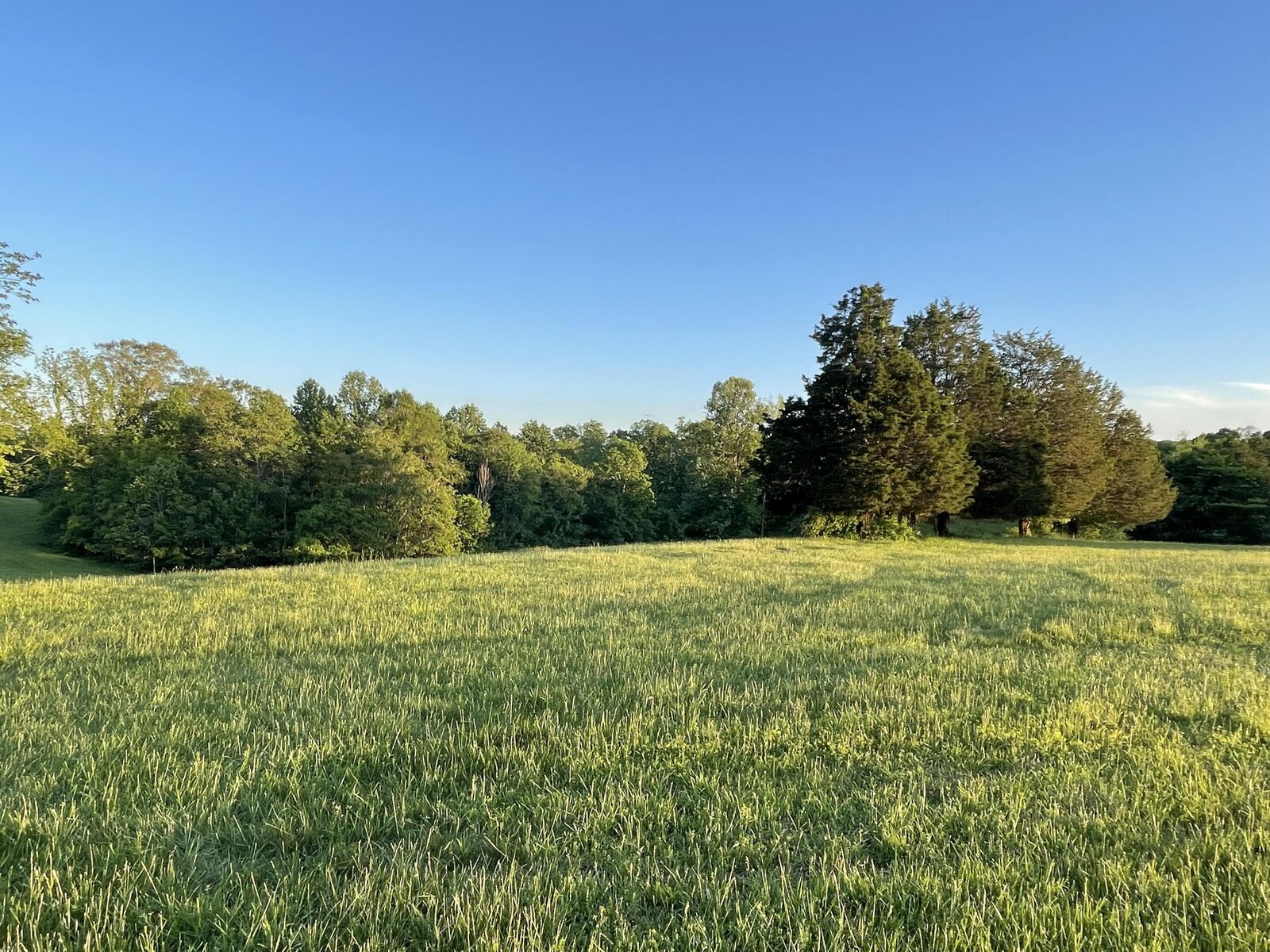 Property Photo:  Lot 25 Parks Ridge  KY 42642 