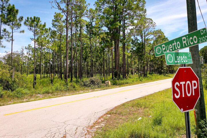 Property Photo: 2087 Laredo Drive FL 32738