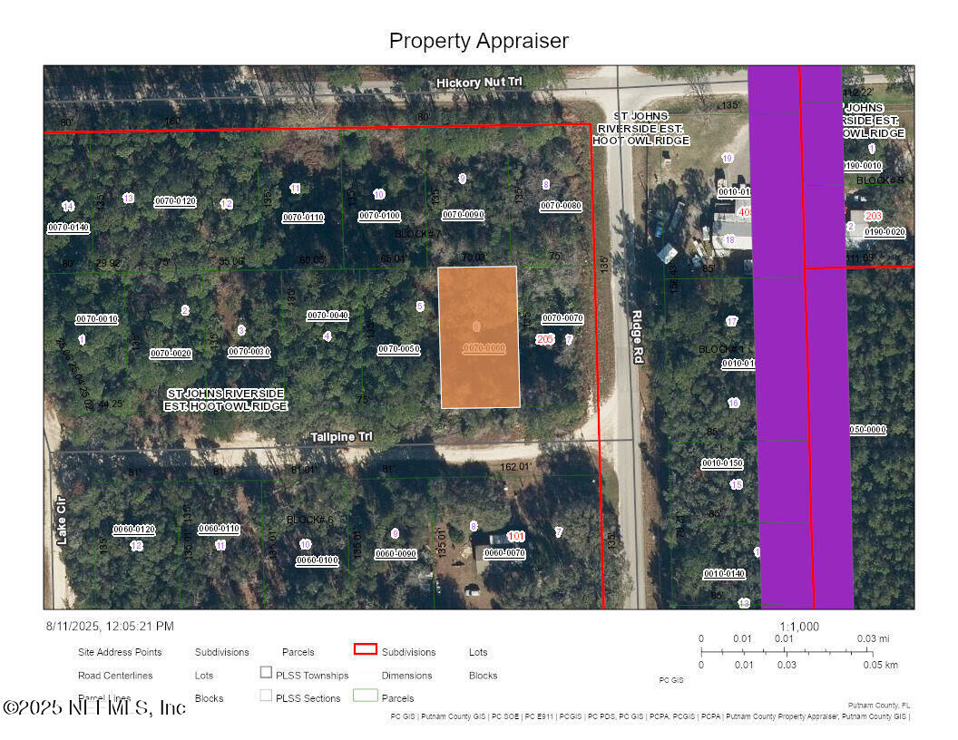 Property Photo:  102 Tallpine Trail  FL 32189 