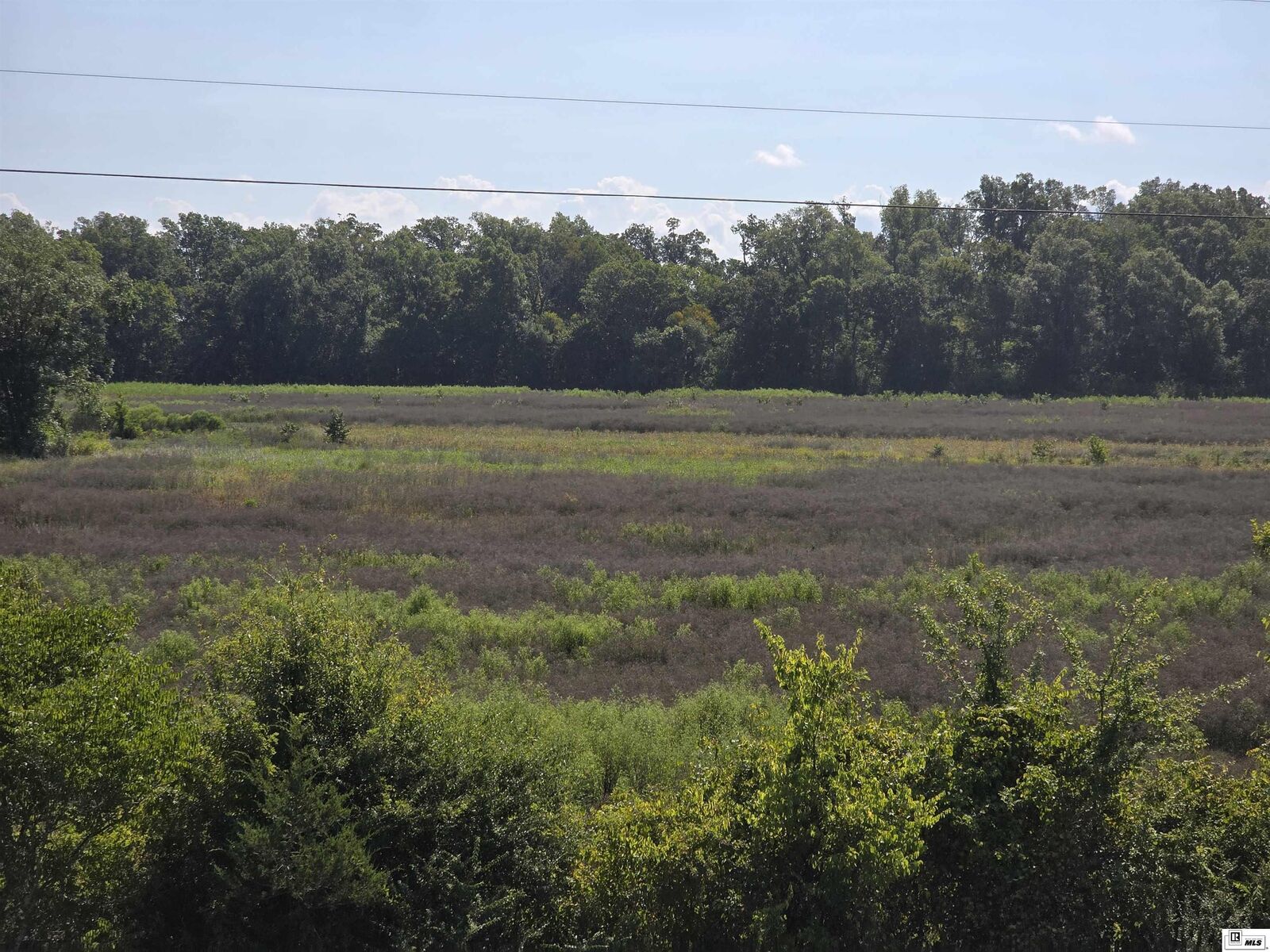 Property Photo:  00 Mengel Road  LA 71269 