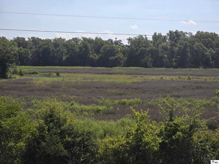 00 Mengel Road  Rayville LA 71269 photo