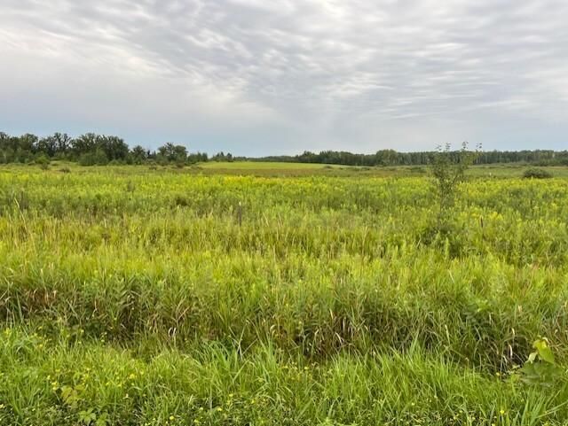 Property Photo:  Xxxx 240th Avenue  MN 55007 