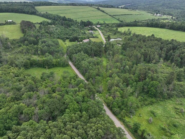 Property Photo: 390 Parker Road NY 14859