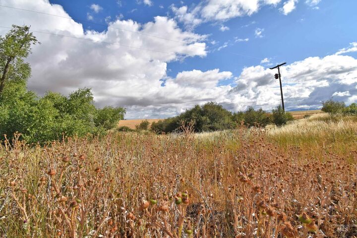Property Photo:  Boyd Lane  WA 99401 