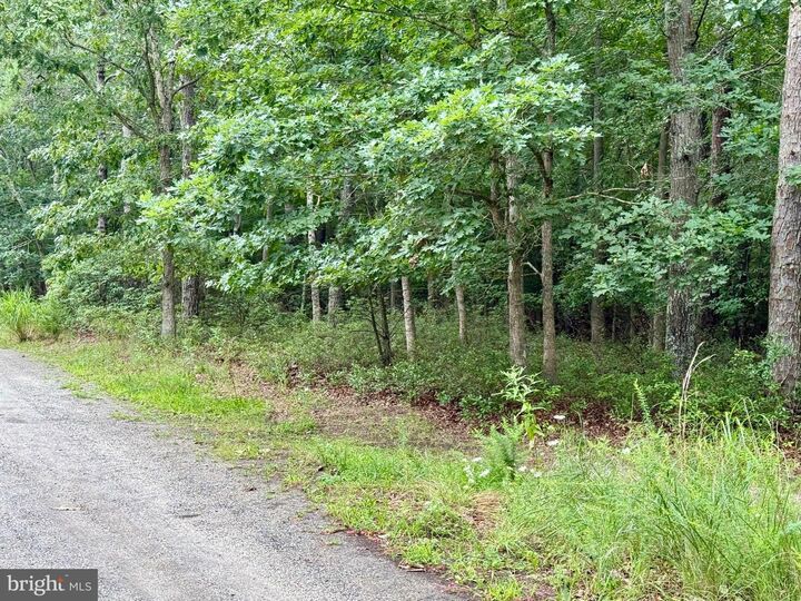 Property Photo: 0 Pinewood NJ 08087