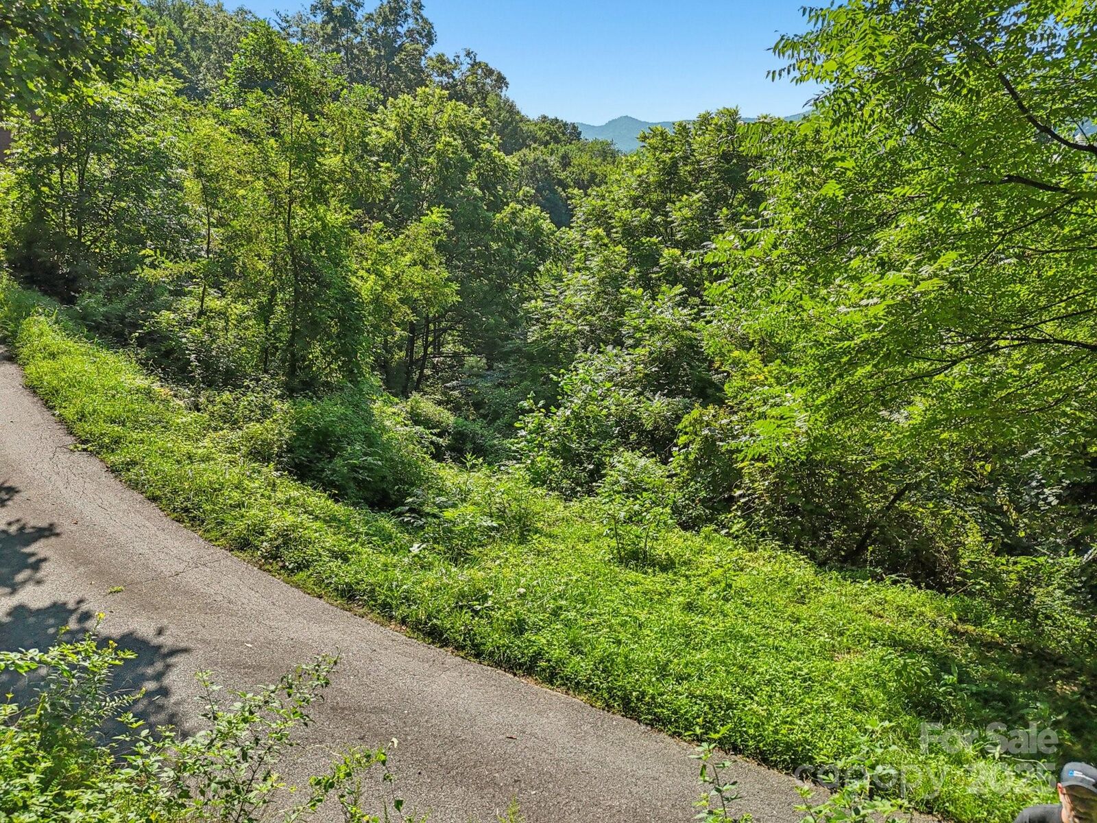 Property Photo:  50, 54, Pt 53 Slim Ridge  NC 28751 