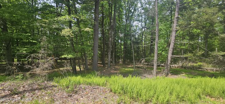 Property Photo: Ea Lot 247 Algonquin Drive PA 18202