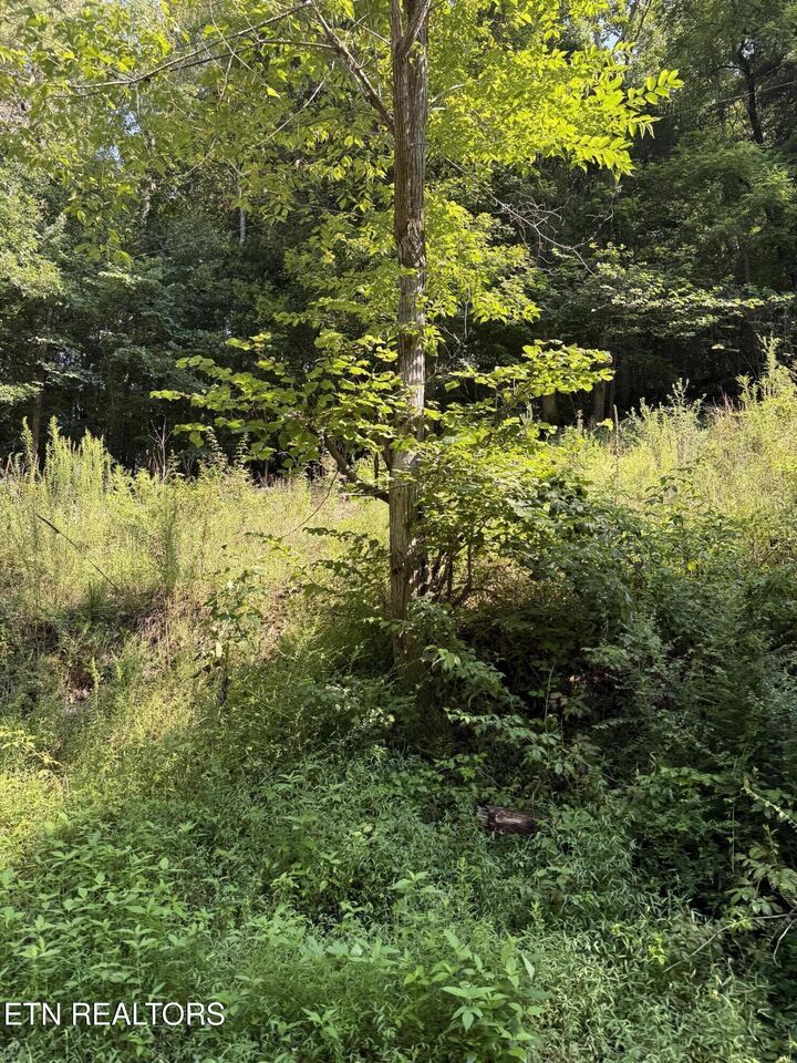Property Photo: 115 Hughes Hollow Rd TN 37846