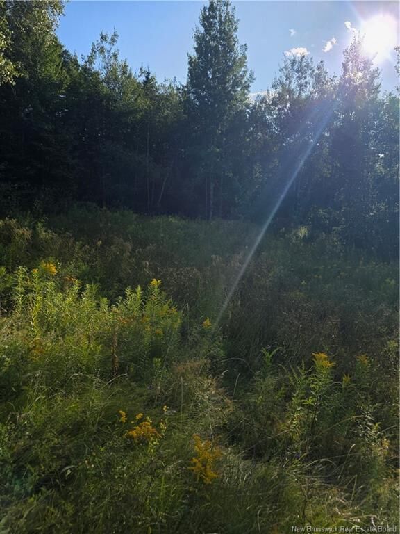 Property Photo: Lot Greenhill Lake Road NB E6E 1E9