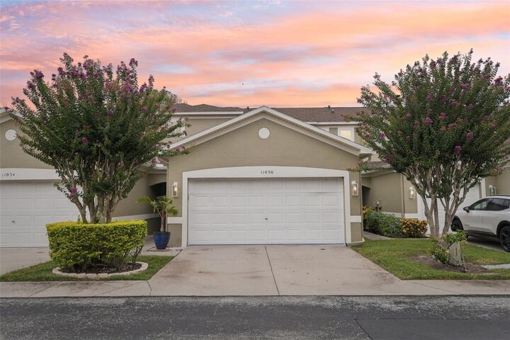 11036 Blaine Top Place  Tampa FL 33626 photo
