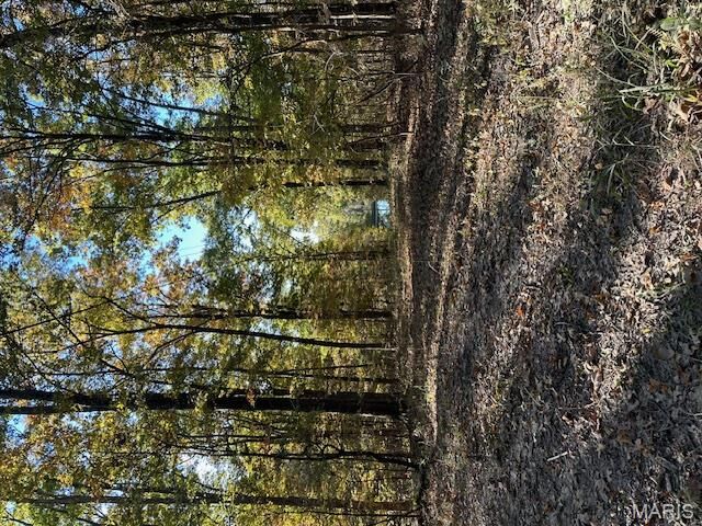 747 Hohokam Lane  Jackson MO 63755 photo