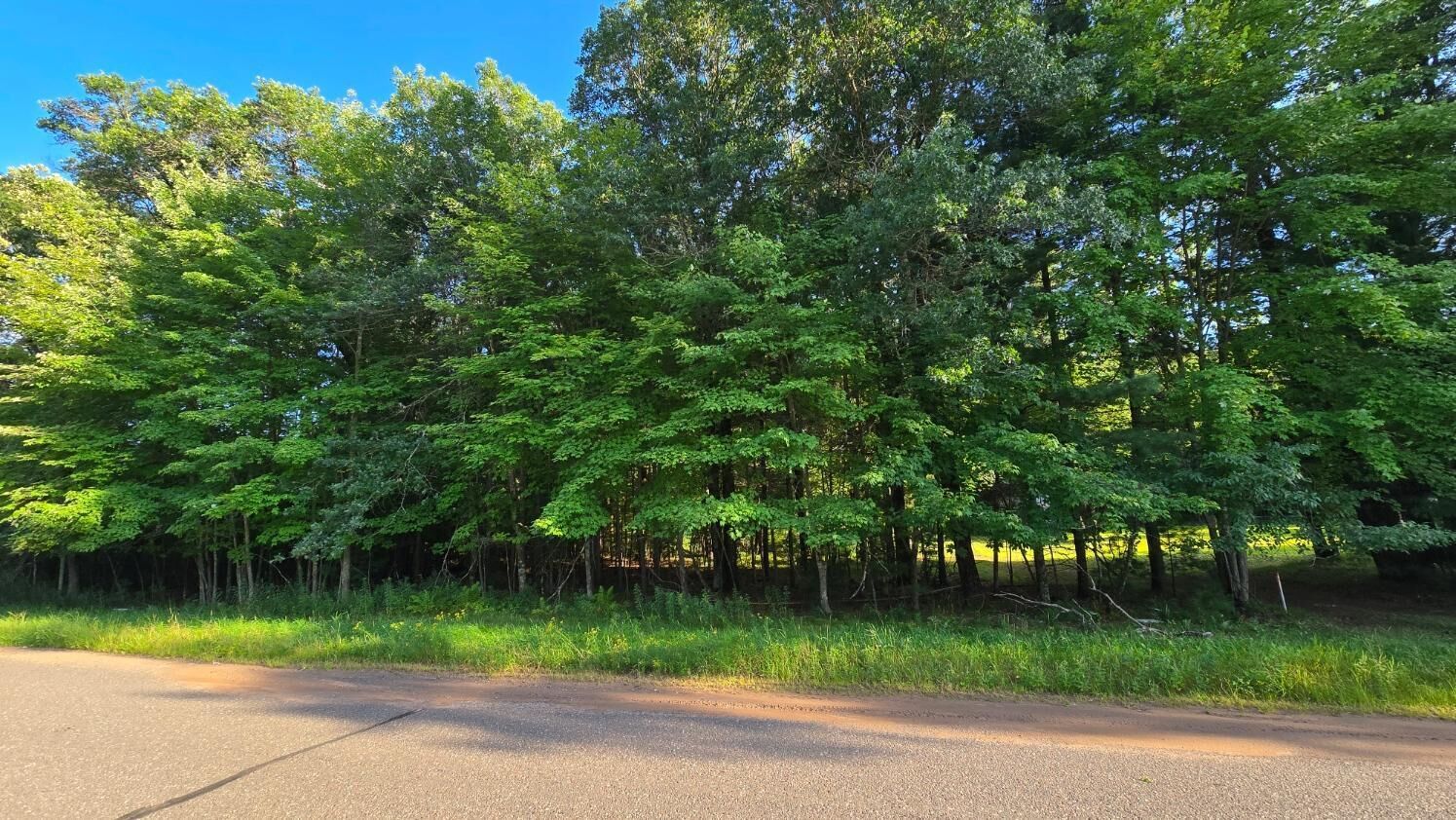 Property Photo:  461 E Benson Avenue  WI 54840 