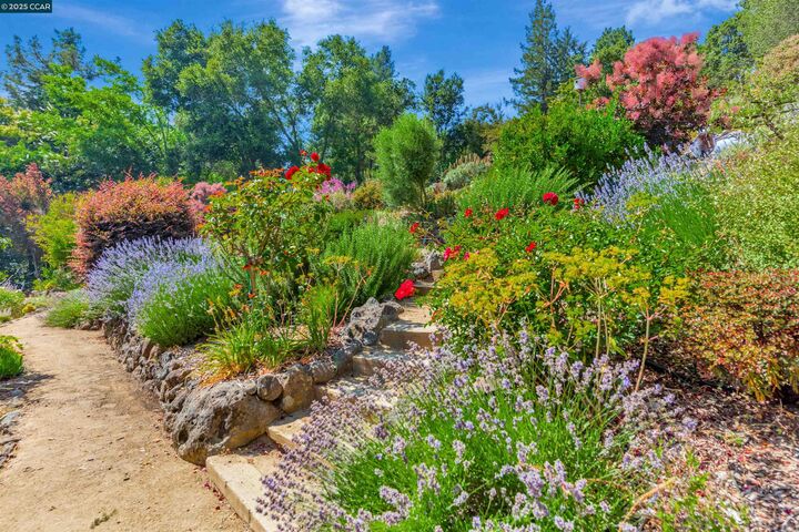 Property Photo: 23 El Verano CA 94563