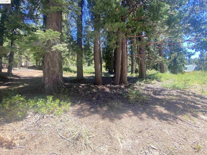 Property Photo: 33994 Leland Meadow Rd CA 95364