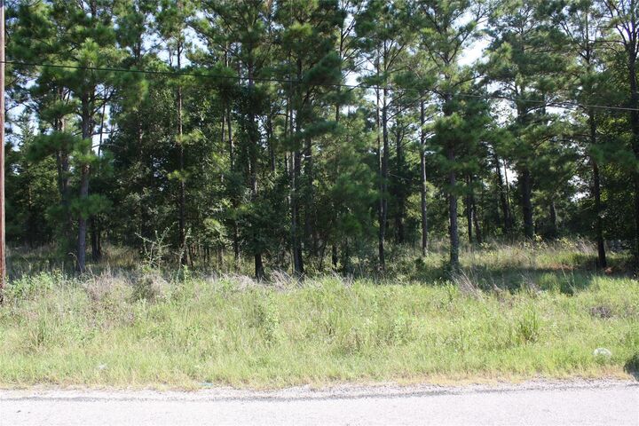 Property Photo: Lot 2 Morris Lane TX 77320