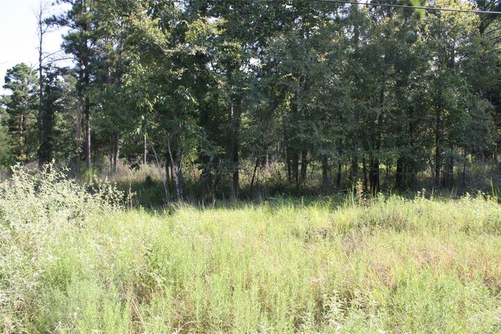 Property Photo: Lot 4 Morris Lane TX 77320