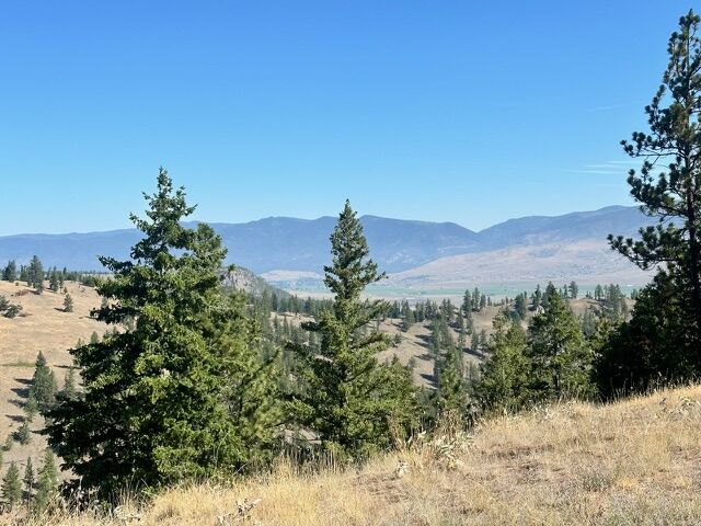 Nhn Dry Gulch Road  Missoula MT 59804 photo