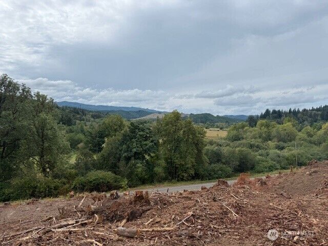 Property Photo: 0 Garrard Creek Road WA 98568