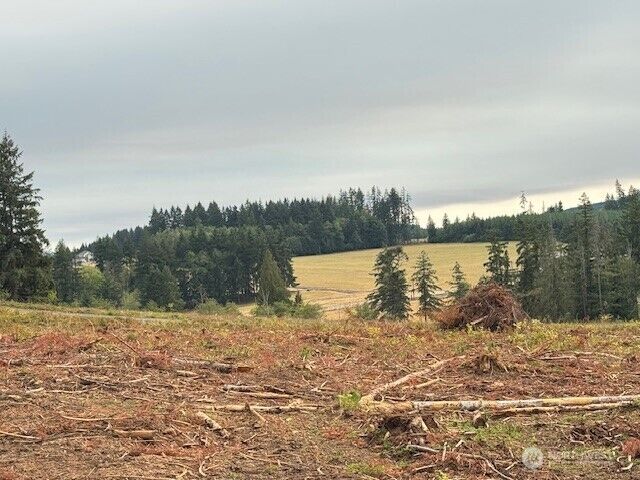 Property Photo:  120  Woodberry Lane  WA 98596