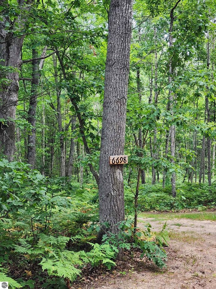 Property Photo: 6698 Birdsong Road MI 48629