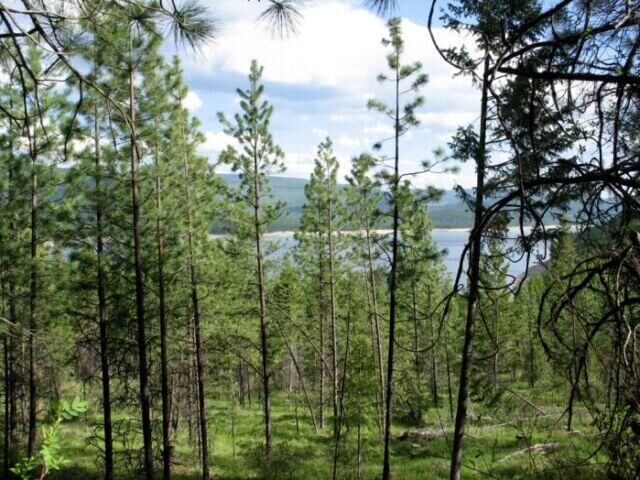 Property Photo: Rv Lot 13-17 Montana Wild Drive MT 59923