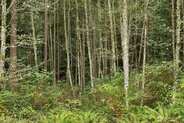 0 Lot D  Whale Pass Way  Langley WA 98260 photo