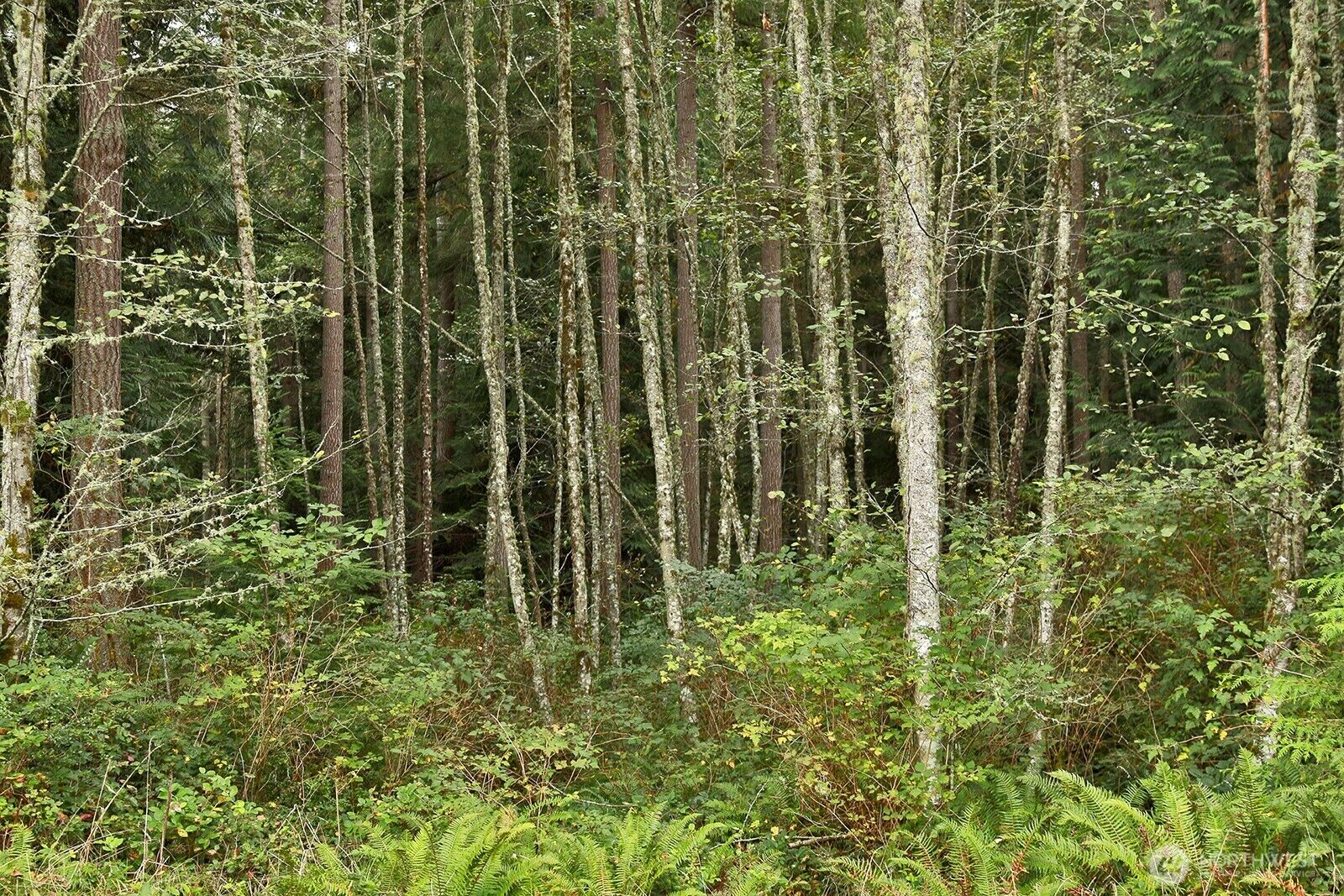 Property Photo: 0 Lot D Whale Pass Way WA 98260