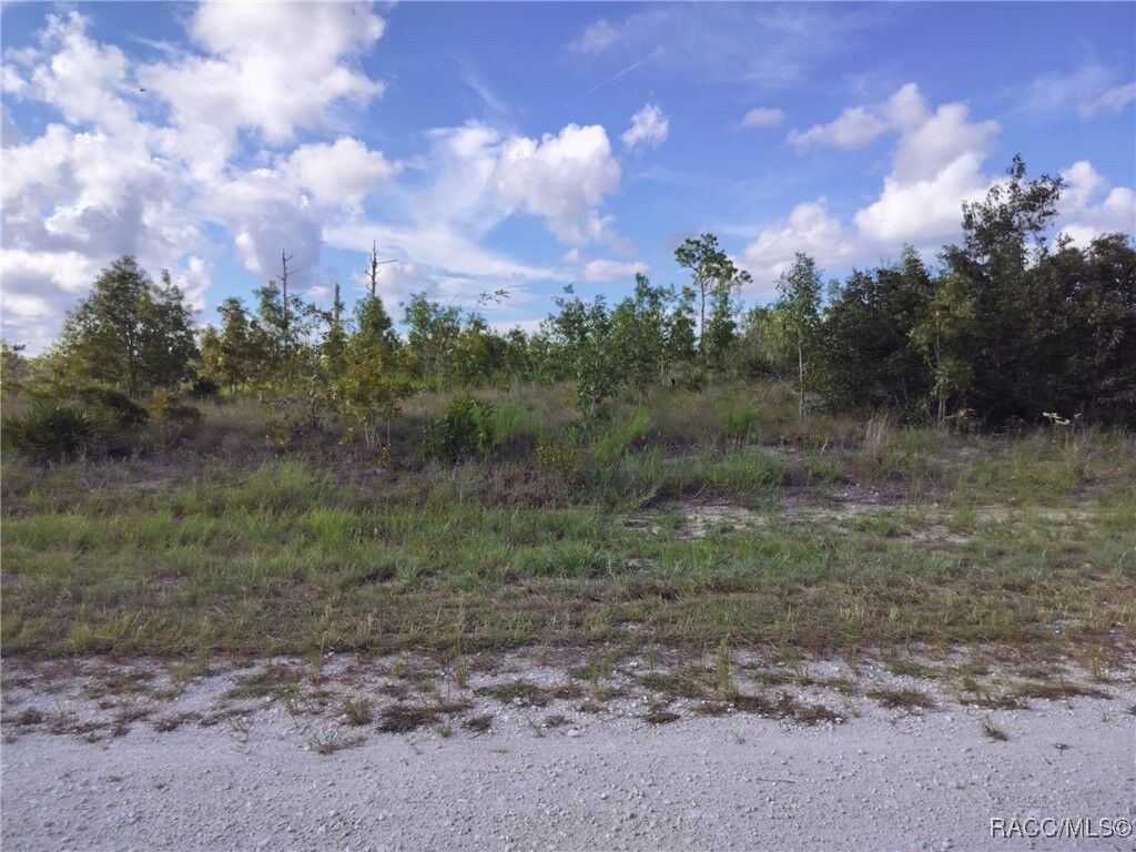 Property Photo: 0 Scissorbill Avenue FL 34614