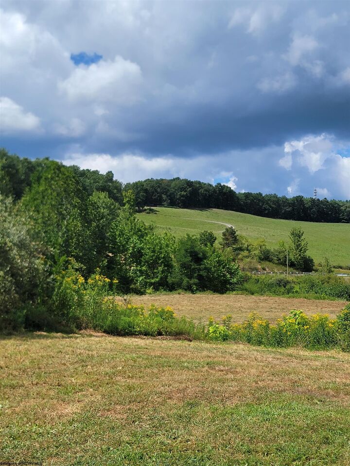 Tbd Rt. 219/250 South  Elkins WV 26241 photo