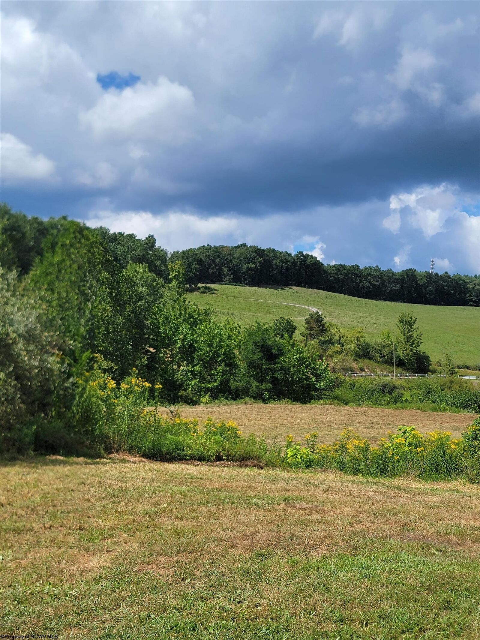 Property Photo: Tbd Rt. 219/250 Road WV 26241